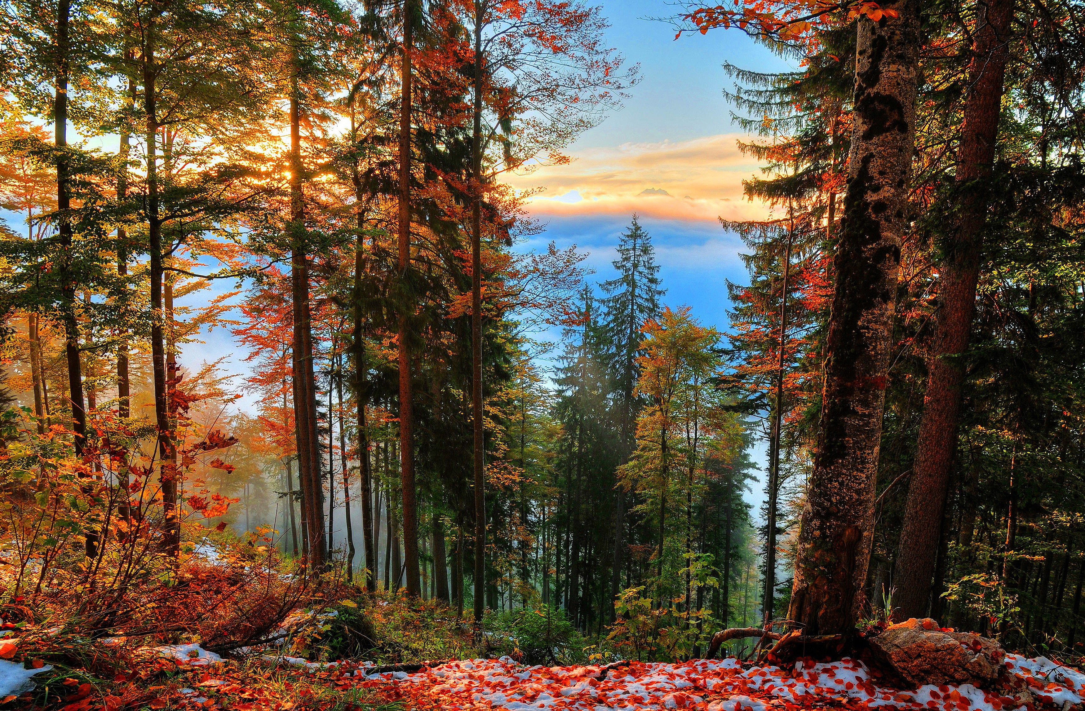 Осенние Пейзажи Фото Высокого