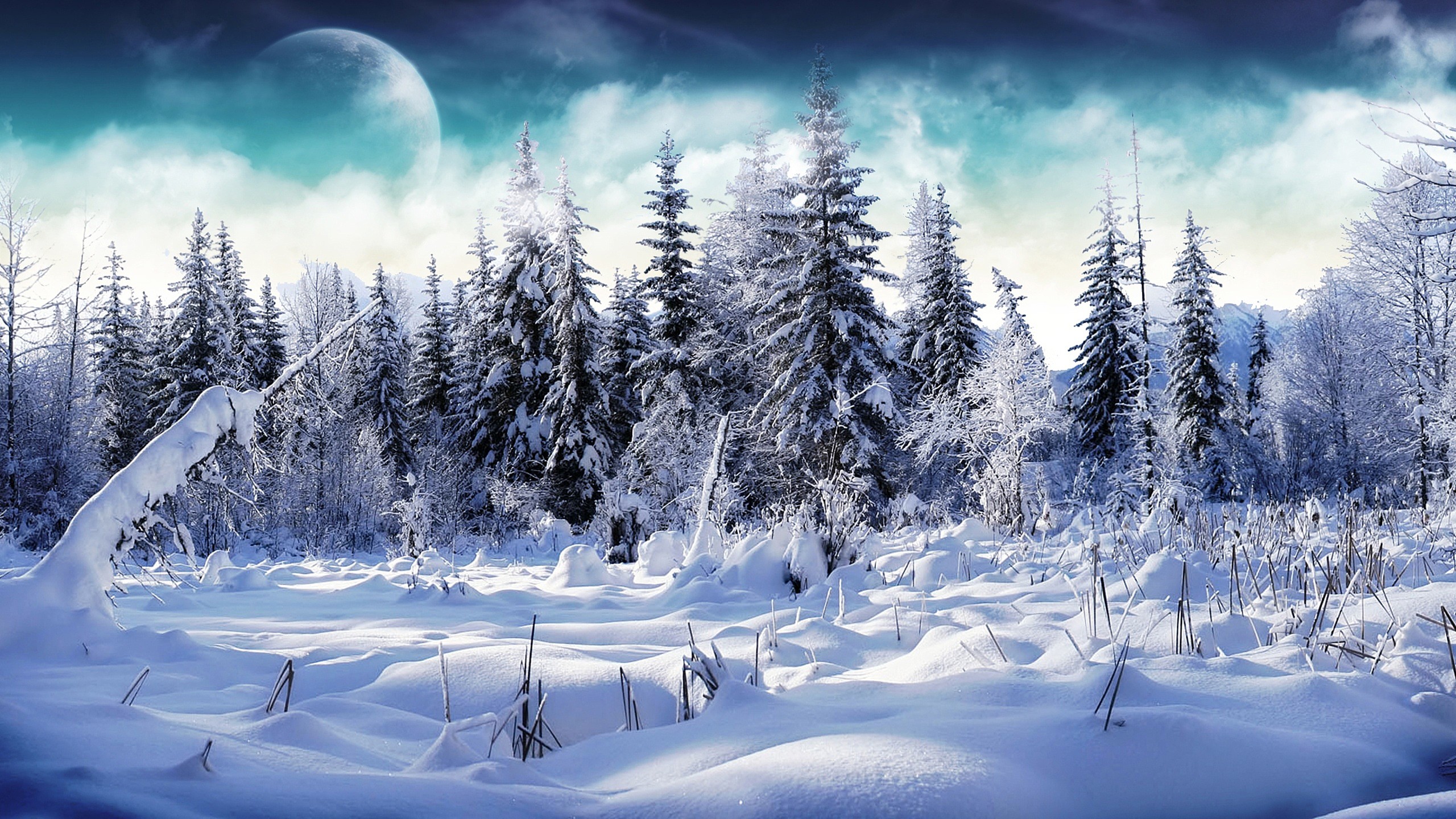 Wunderschone Winterabend Laden Sie Fotos Von Schonen Landschaften Kostenlos Fur Android Winter