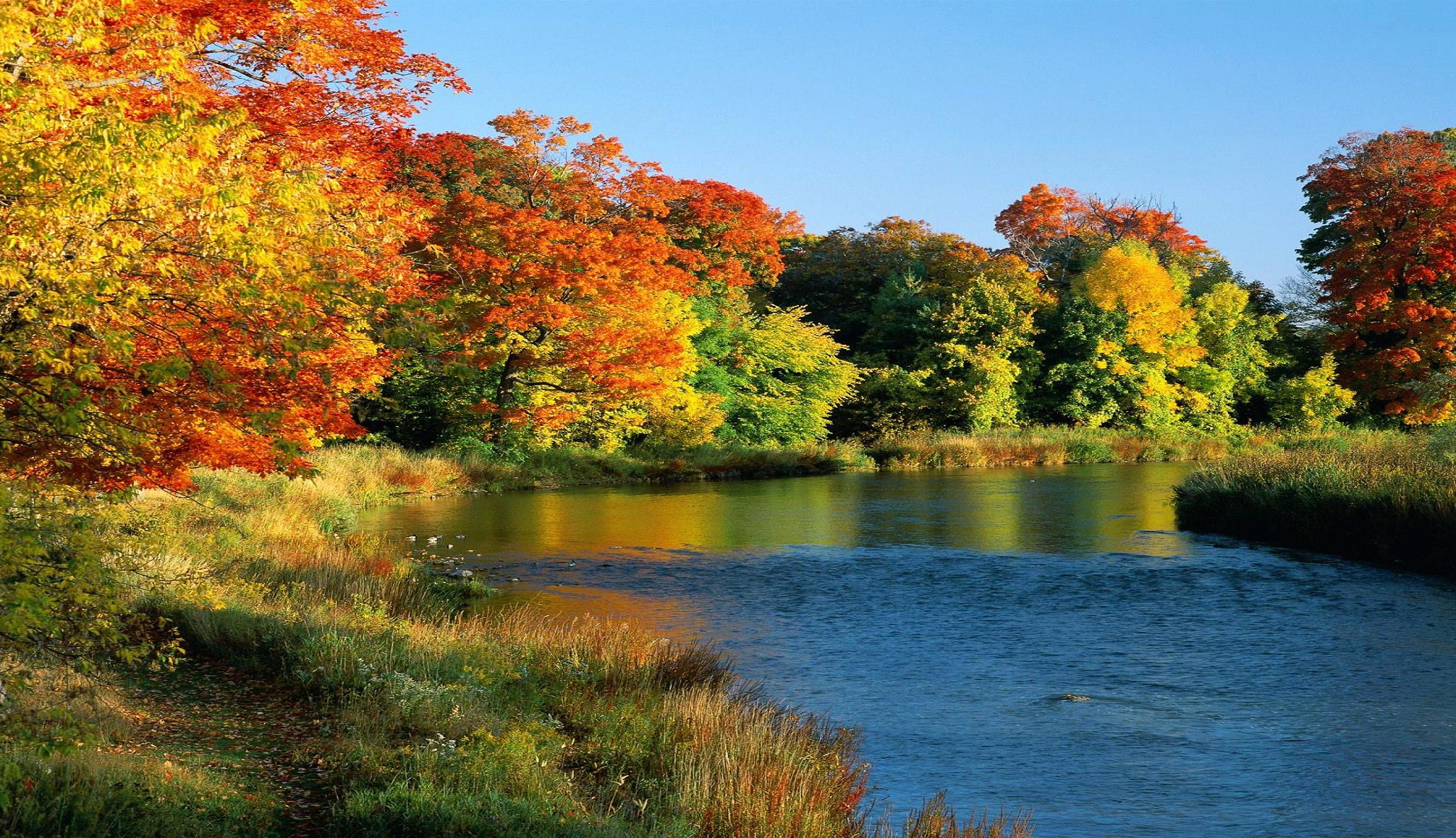 Kredit River Sehen Sie Hd Wallpaper Schone Landschaft Herbst Ontario Kanada Fluss